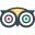 tripadvisor